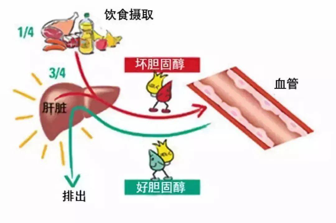 恶性肿瘤|教你如何看懂体检报告