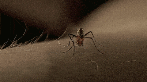 秋雨|近期高发，病死率高！济南疾控特别提醒