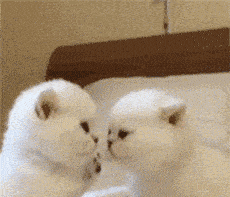 漂亮|每日一笑,?像不像和老婆吵架的你?