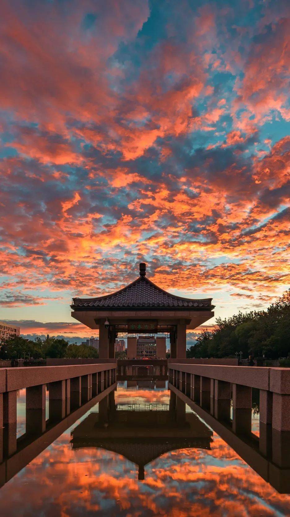 一年换一次天大校庆专属头像壁纸来啦