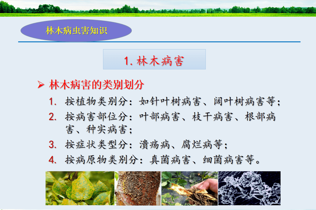 a3808340e7324b69aefc5dc5585e9e5b.png