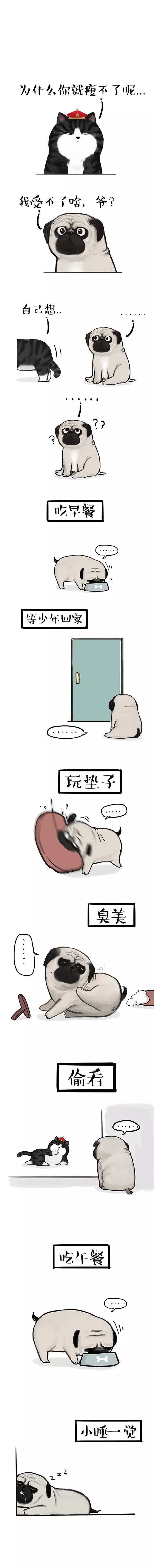 巴扎|巴扎黑：我最受不了的事情，就是瘦不了（漫画）