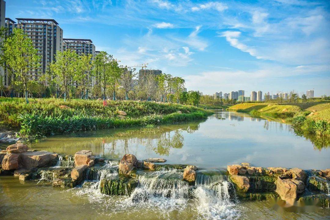 打造城市生态绿芯,光谷生态大走廊雏形初显