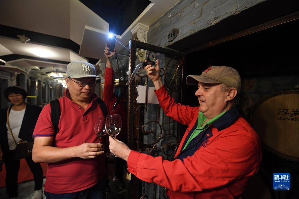 企业|乌海葡萄熟了