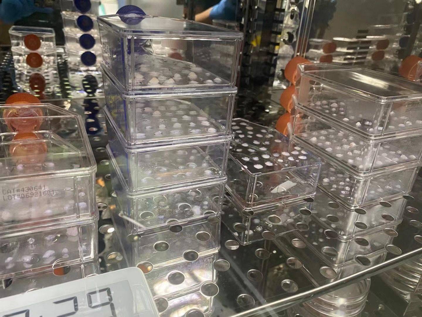 法律风险|“自制药救儿父亲”徐伟回应法律风险：要说是做药，肯定不合法