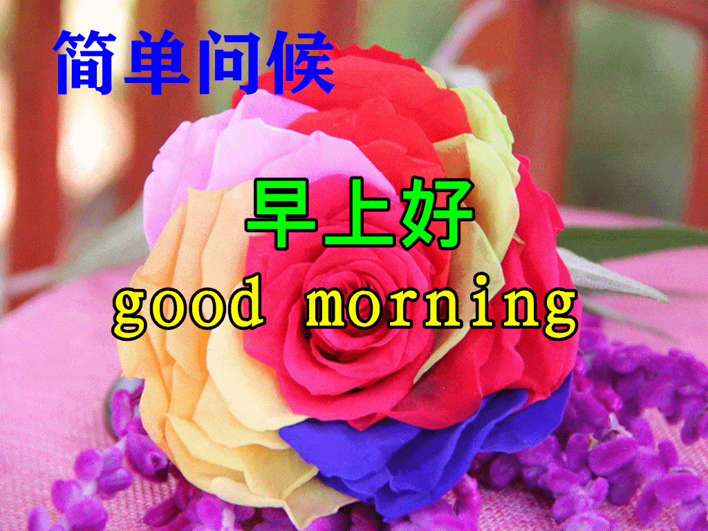 1024_768gif 动态图 动图