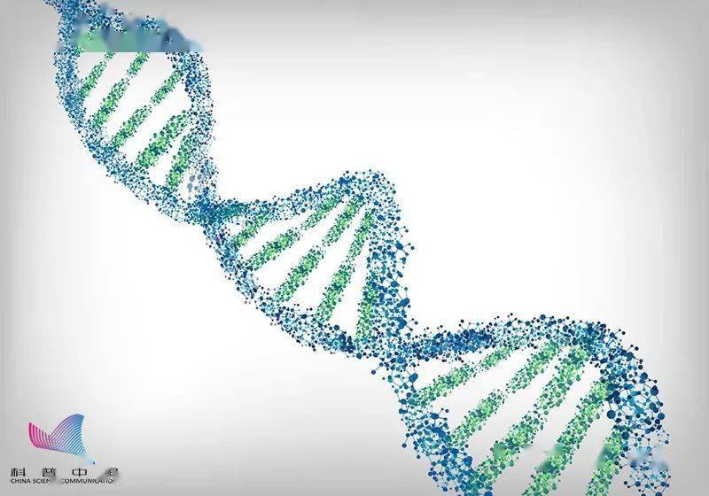 植物|【992 | 科普】把种子送上太空，种出来的东西更大？远不止这些！