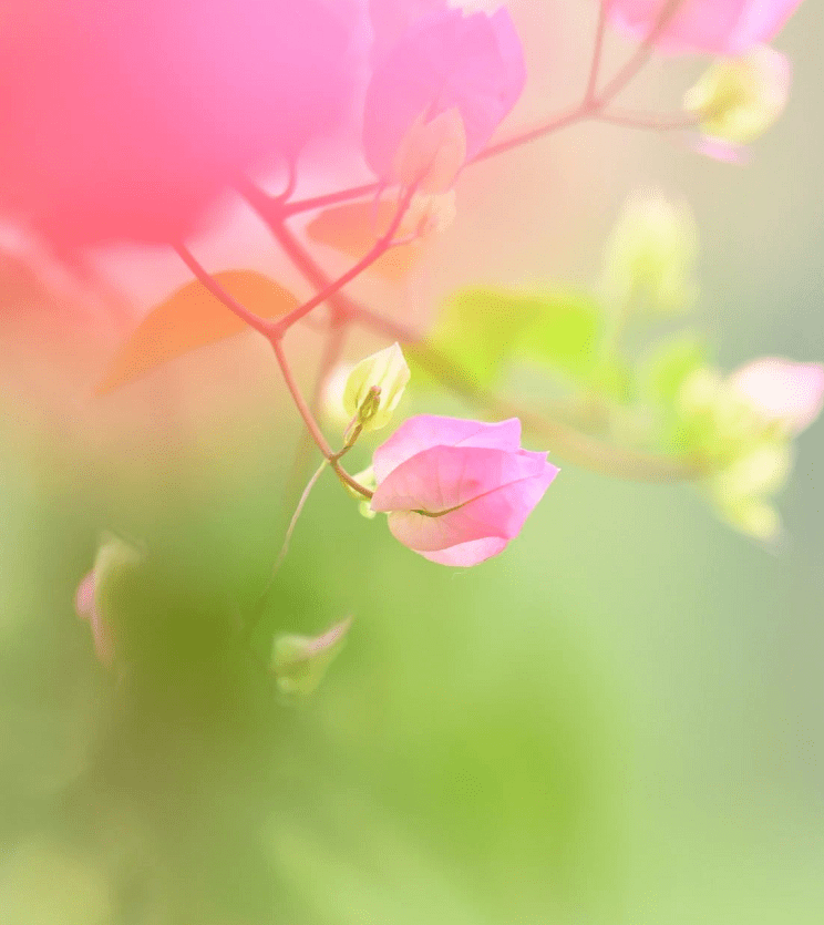 如何让人心情平静 e14e61e2a425498bb379e10d6e296df8.png