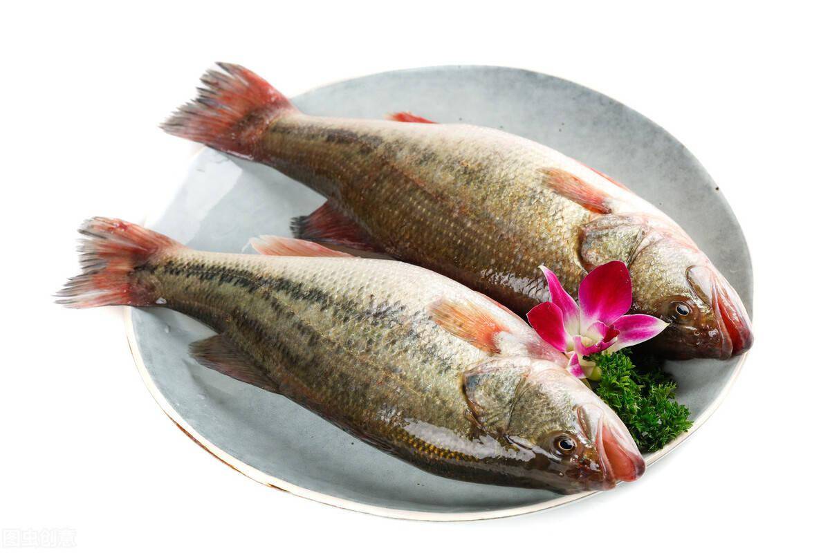 清蒸鲈鱼时,海鲈鱼好吃还是淡水鲈鱼好吃?很多人不懂,太亏了