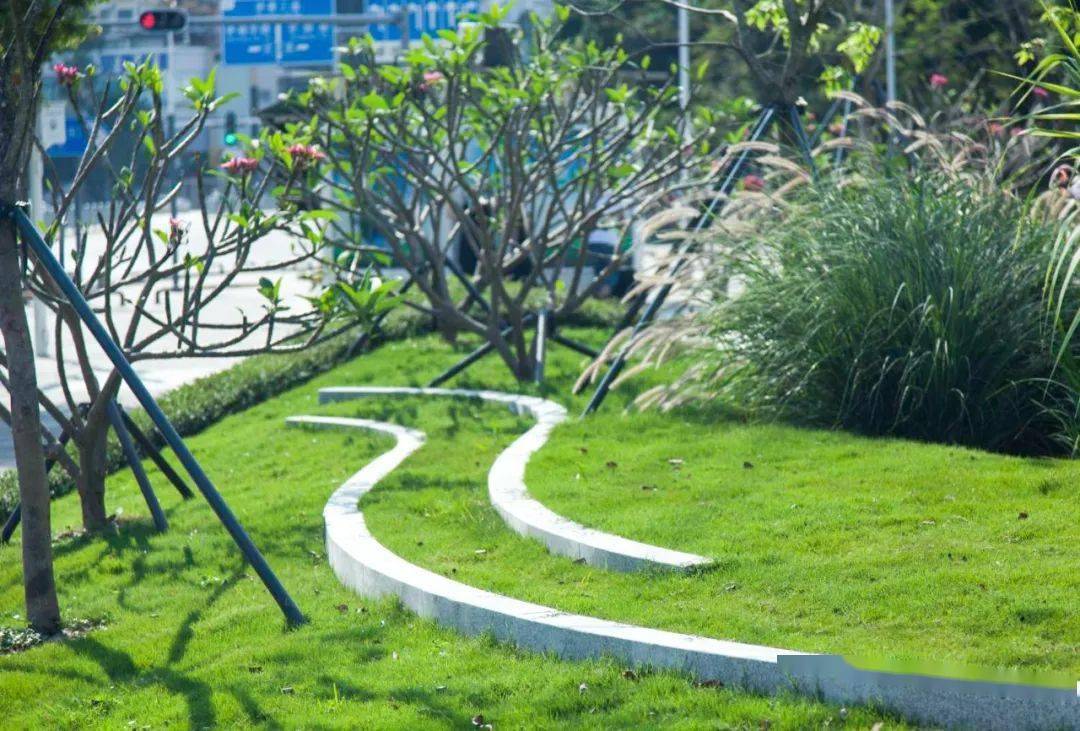 用微地形草坡和不同芬芳植物的配植,打造精致通透的花林草坡景观,营造