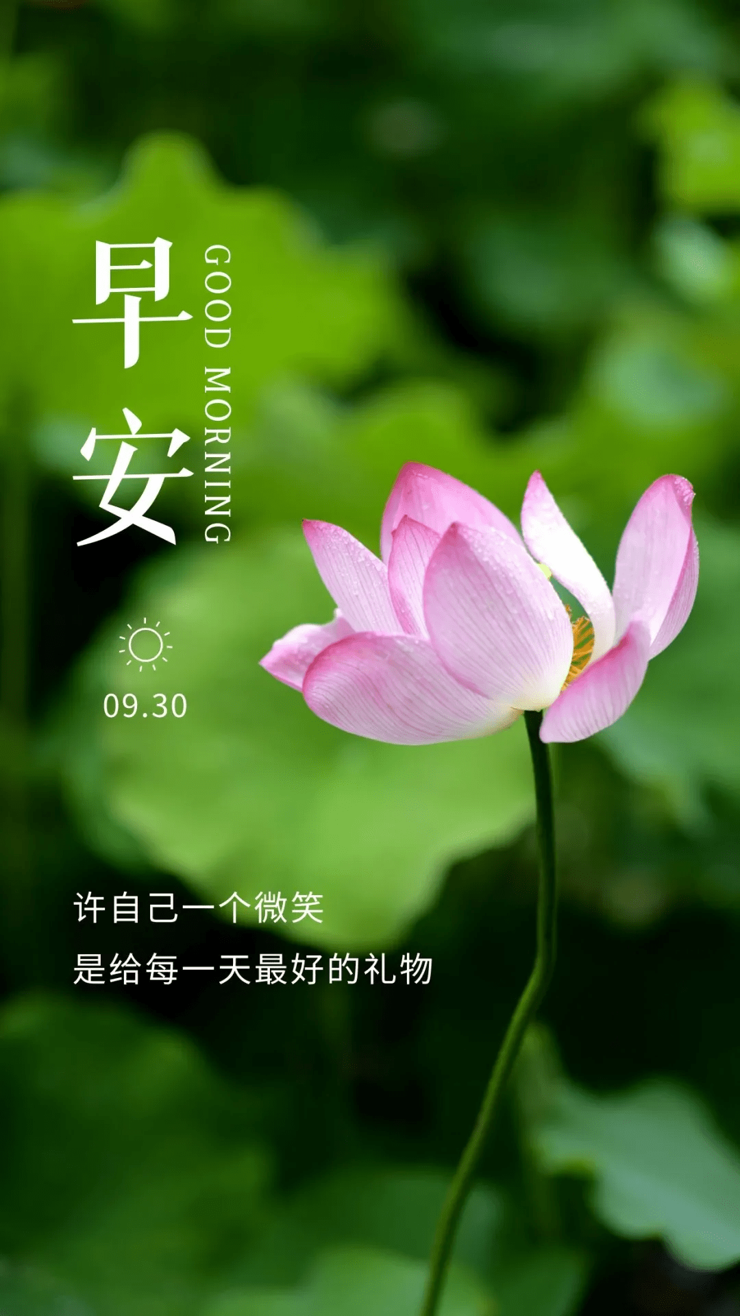 f0728c7daa9947c99e4f88a403acf7bc.png