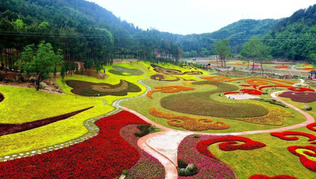 平樂如意花海▲棲鳳峽旅遊區花海▲藥博園▲3月柏林古鎮櫻花節