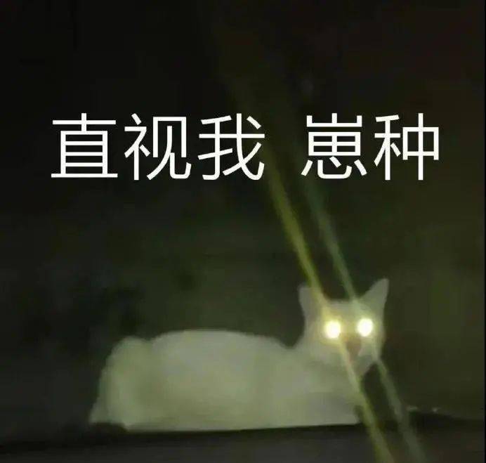 臭男人,同归于尽吧 第213期表情包