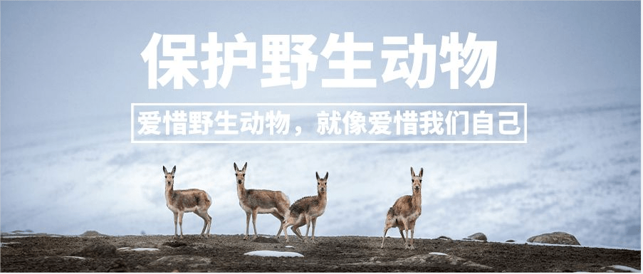72a8c5cf39bc466cb91dc8896c8cfb92.png