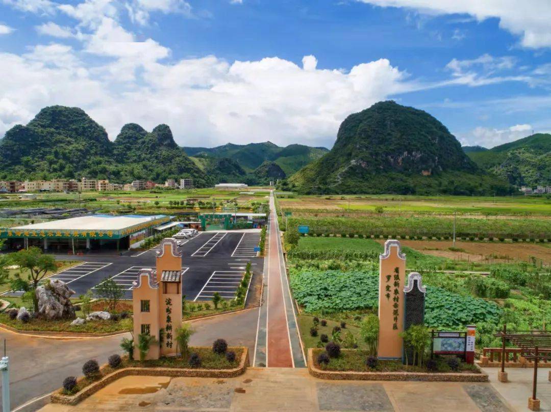 罗定多个乡村上榜"第二届云浮十大美丽乡村系列"评选活动!