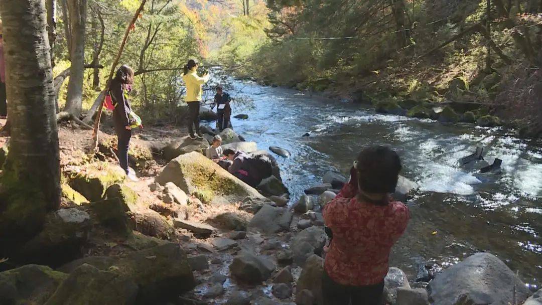 绿色发展添增量 生态游叫响假日市场