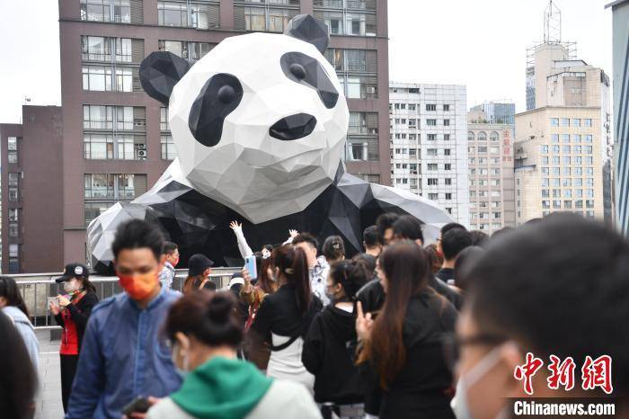 附近的|成都:游客排队打卡网红大熊猫雕塑