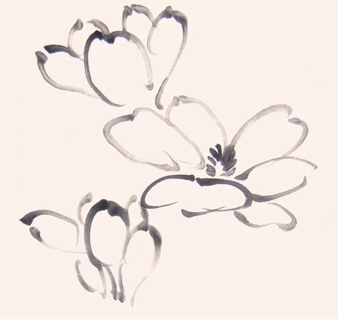 图文教程:写意玉兰画法两例