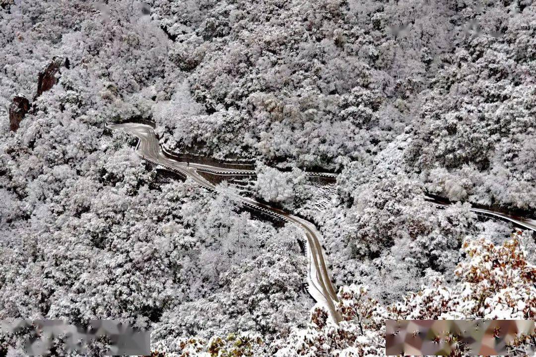 惊艳！房山百花山景区迎来十月飞雪！这画面太美……