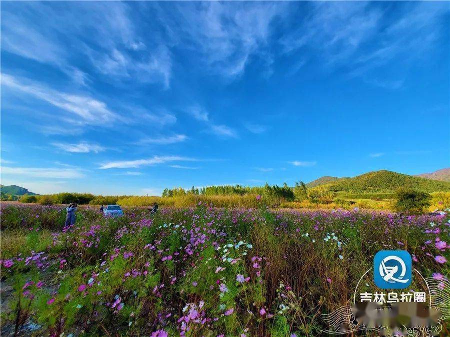 桦甸市|美！吉林市周边景色“换装”了