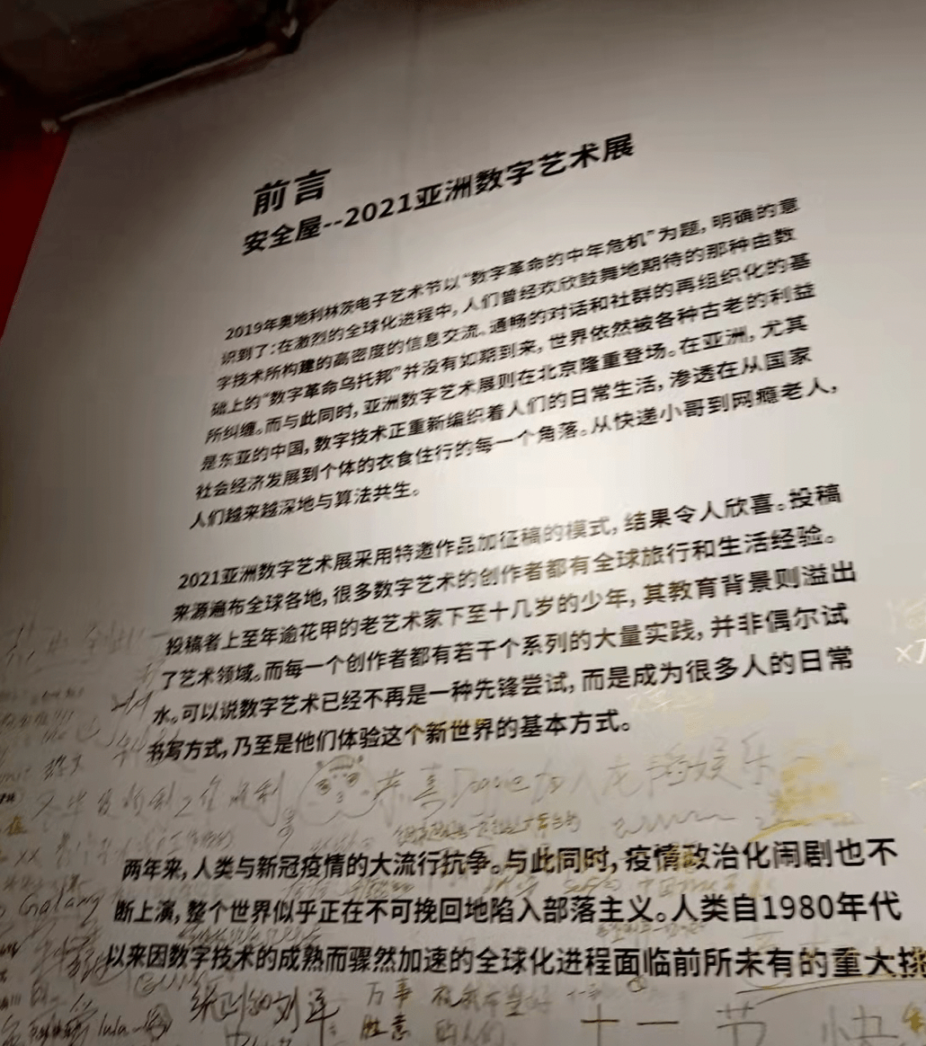 张睿伊|新京报小记者对话“亚洲数字艺术展”里的00后艺术家