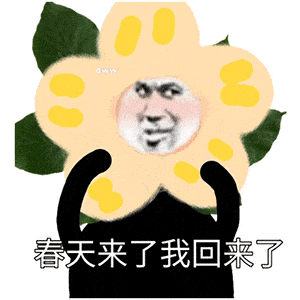 精选熊猫头表情包