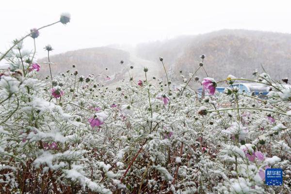 滑雪|河北崇礼：冬奥场馆降秋雪