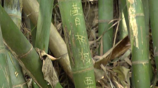 国庆|太刺眼！黔灵山公园内，这一幕太丢人！