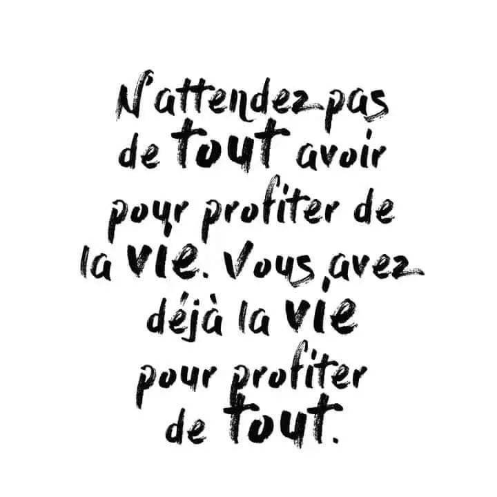 这句法文该如何翻译呢