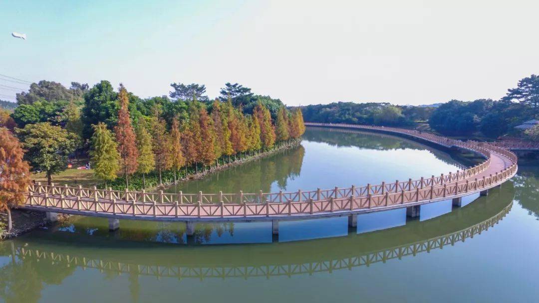 凉风习习,一起去松山湖的公园里"捕捉"秋天吧