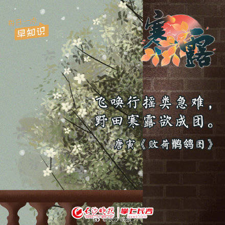 白而|今天是寒露，一起用古诗词的方式打开寒露吧！