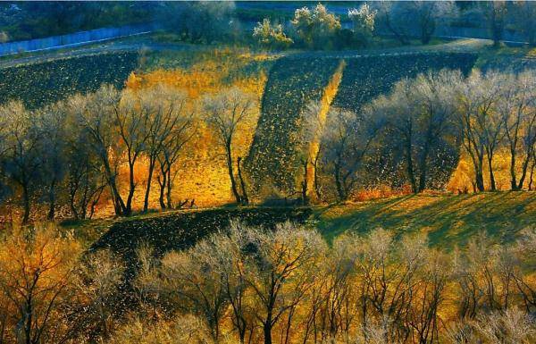 乌鲁木齐市|寒露至，秋更浓，幸福不过有人为你添衣