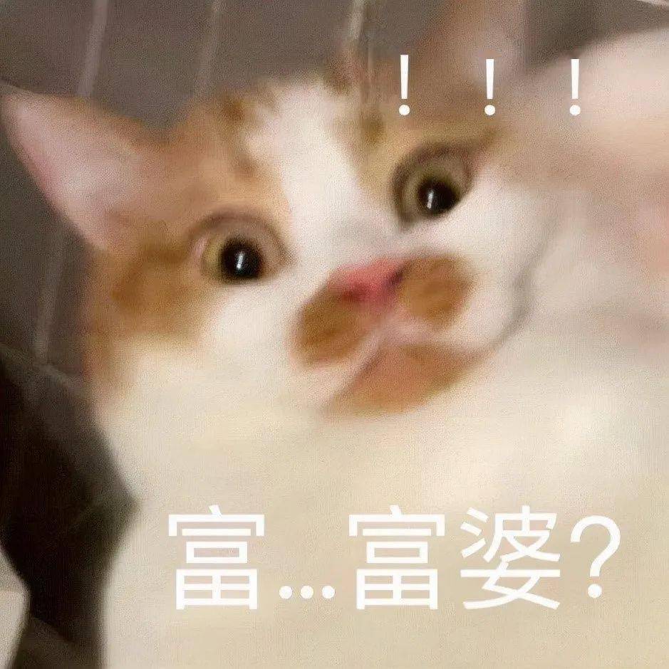 我和我的小伙伴惊呆了简谱_我和小伙伴都惊呆了图(2)