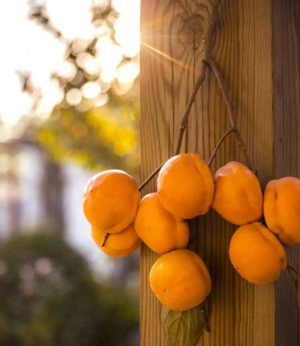 家长|今日寒露，家长老师要留心这4点