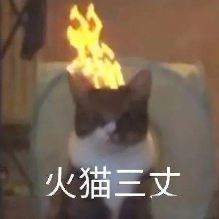 早苗最后死了吗 a1b42aaf42f24470ba9d88c3d5afedda.jpeg