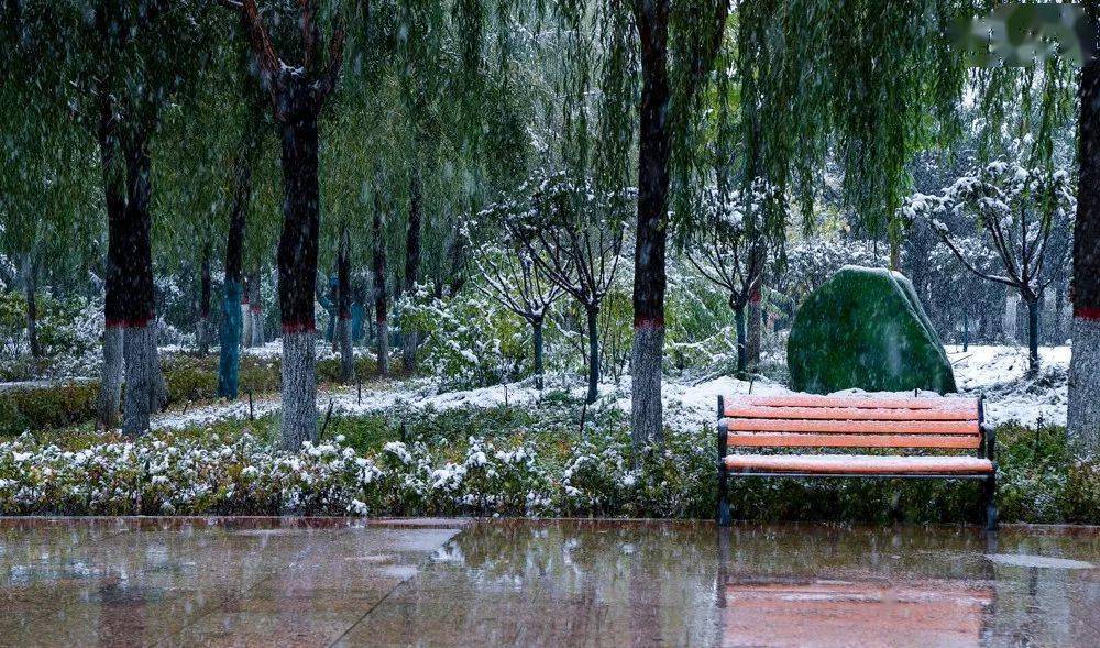 风霜雨雪雾齐聚固原气温降至