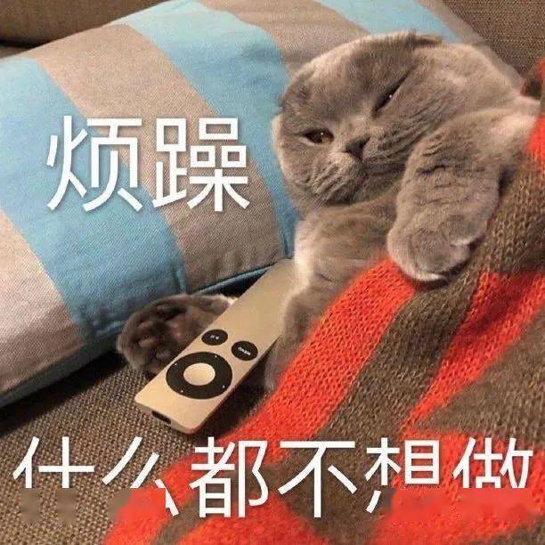 我和我的小伙伴惊呆了简谱_我和小伙伴都惊呆了图(3)