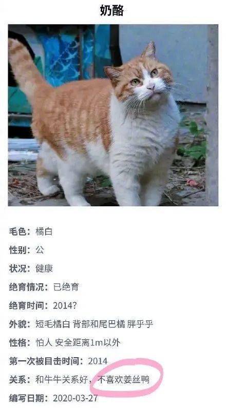 笑死,北大特招的渣猫,“嫖娼”被抓了哈哈哈_姜丝
