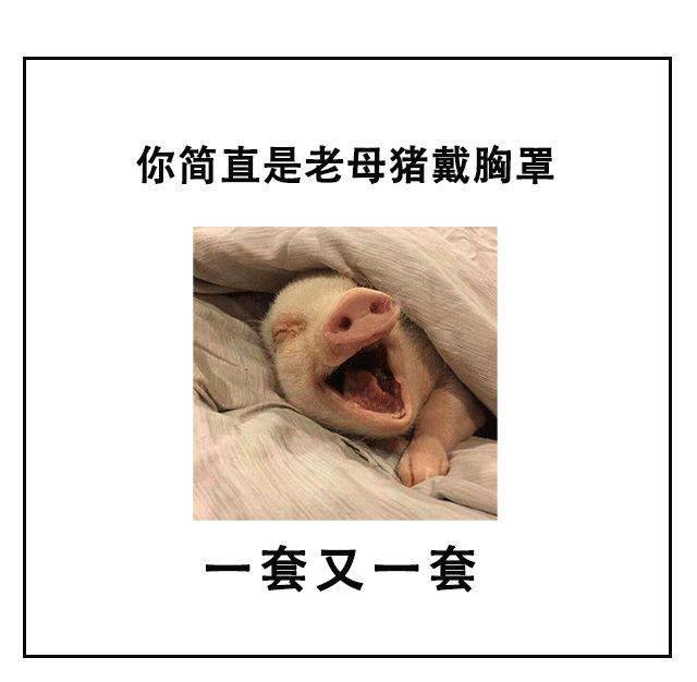 歇后语搞笑幽默表情包图片