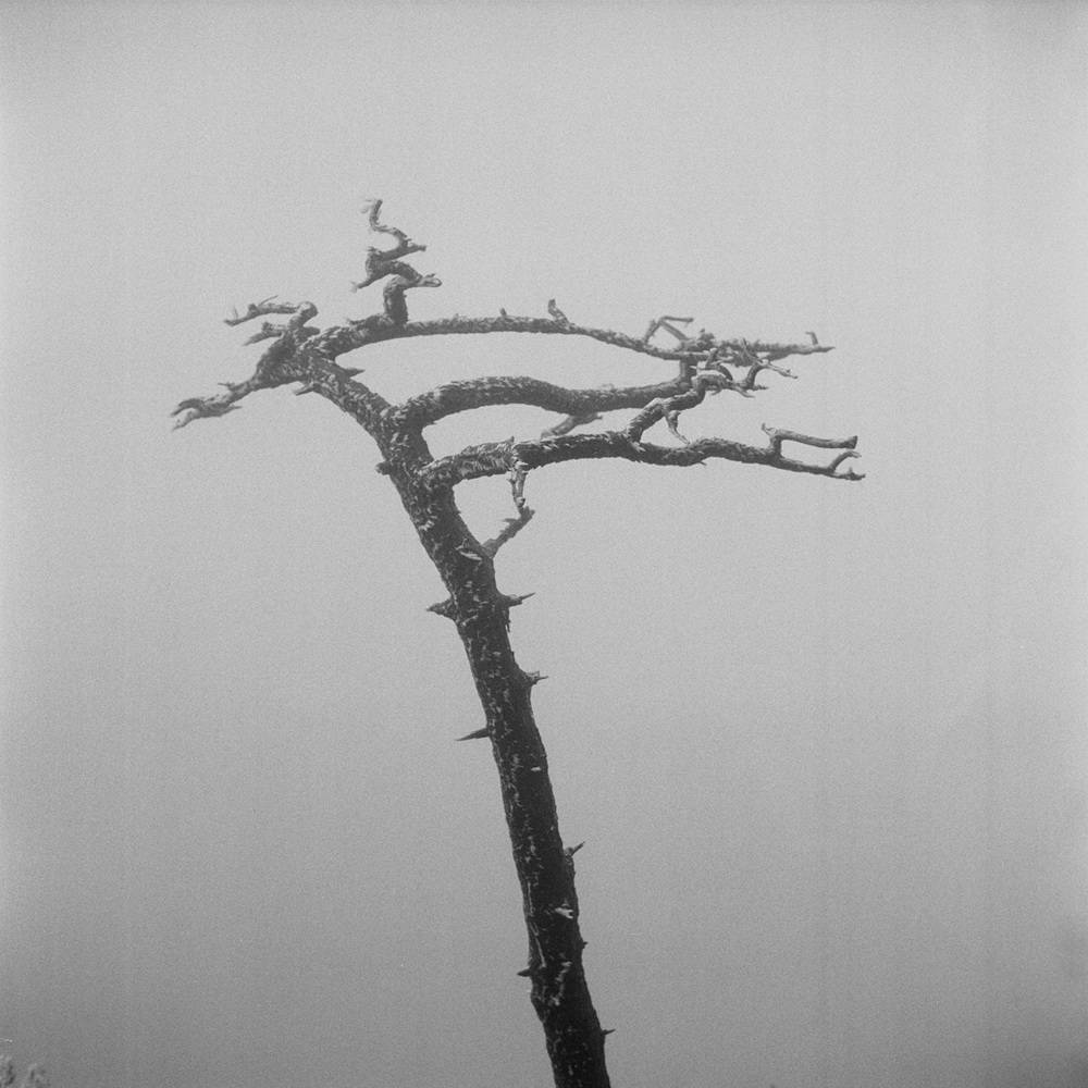 幅照片《昨天堂》：山河故人情怀落在严明身上