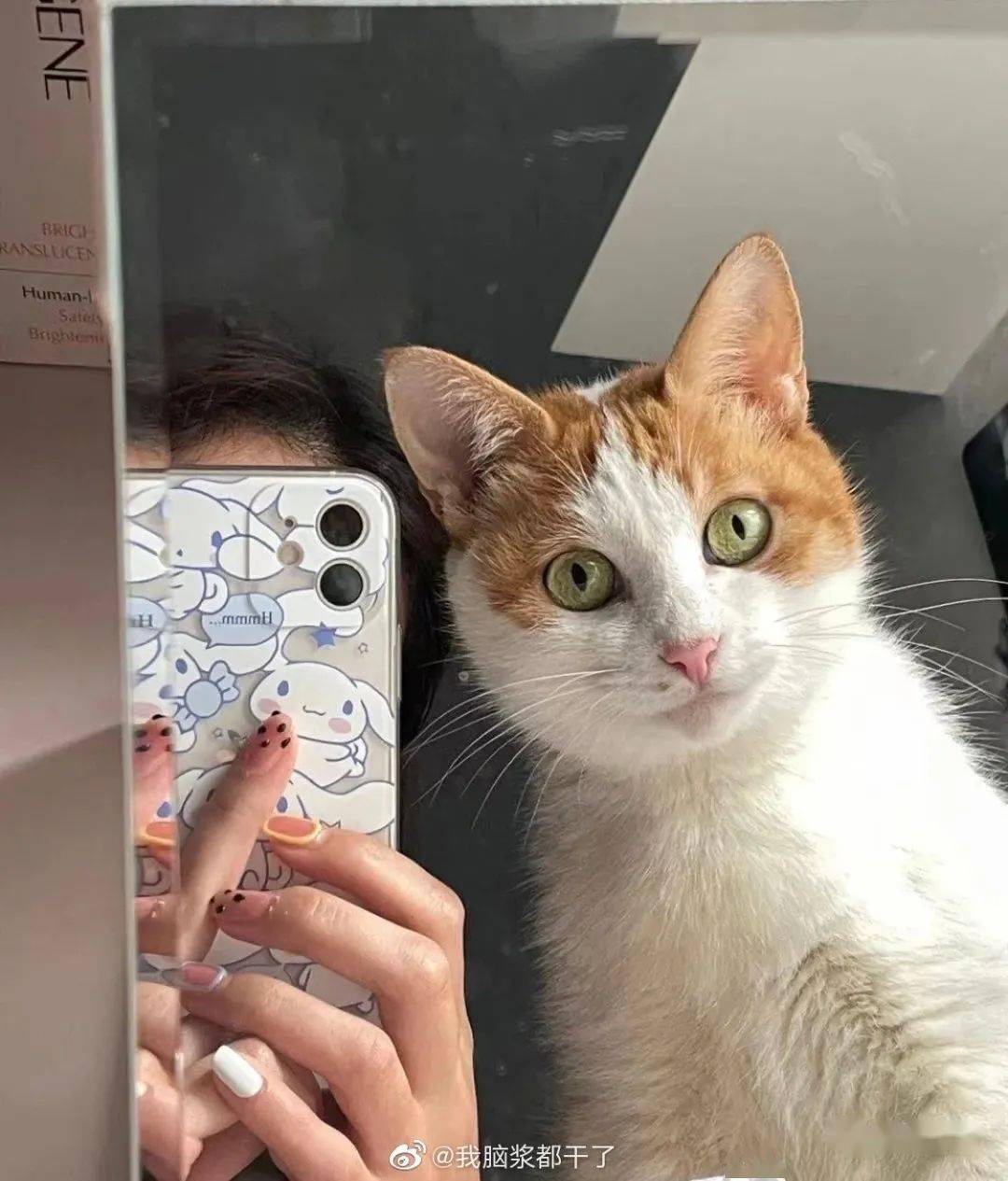 复合|张碧晨华晨宇复合遭曝光?!网友惊呆:原来小丑竟是我自己…