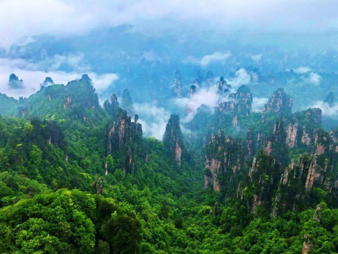 美图欣赏津门网陈旻独特的张家界地貌