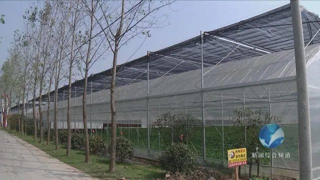 搭建大棚专用棚 003091e0f3f048df8519062cc4927e44.jpeg