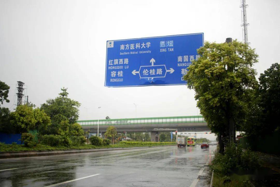 伦桂路北段图片