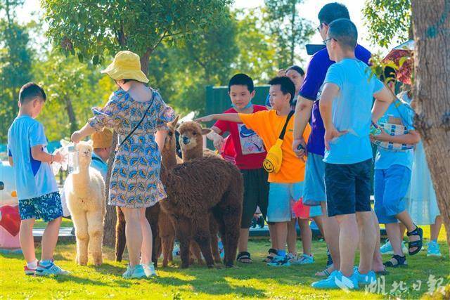 平台|国庆假期湖北文旅市场供需两旺再创新高 文旅消费券激活消费潜力