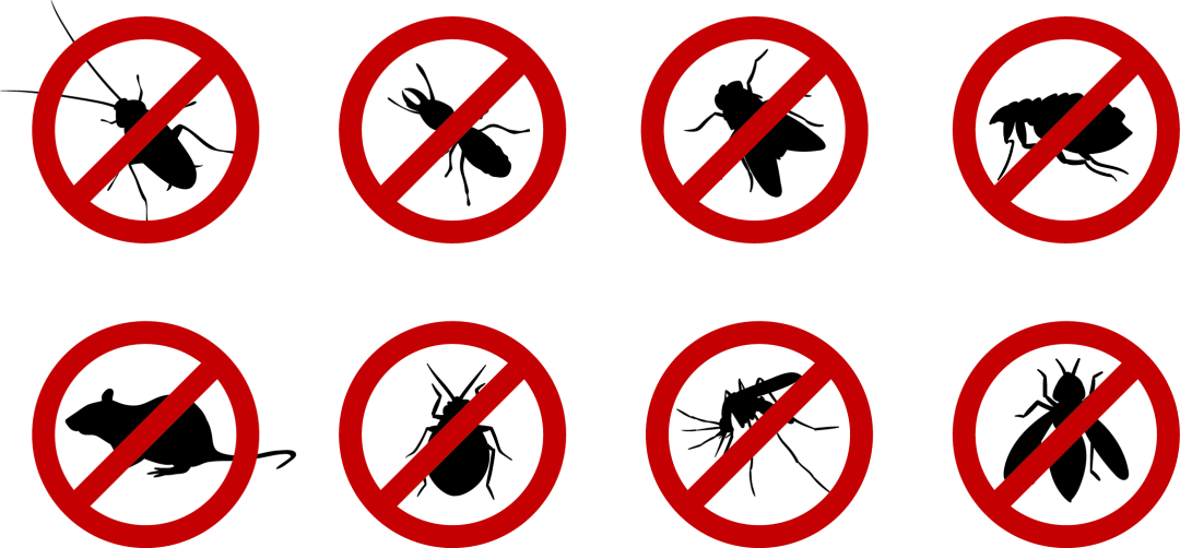 市民注意!明天起,内江此地全面消杀