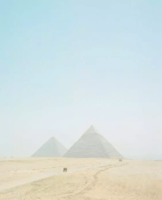 a0af95f36c7146ddab758b1c57e52682.png
