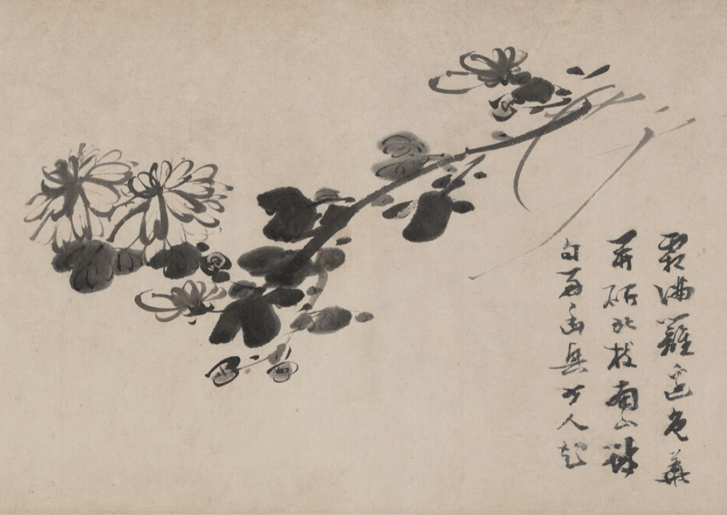 明 陈淳 菊明 徐渭 菊明 徐渭 菊花明 徐渭 菊花徐渭 竹菊图 辽宁省