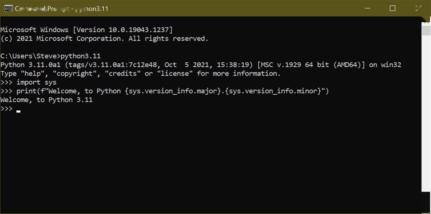 Python 3 11 Alpha 上架微软win11 Win10应用商店 语言