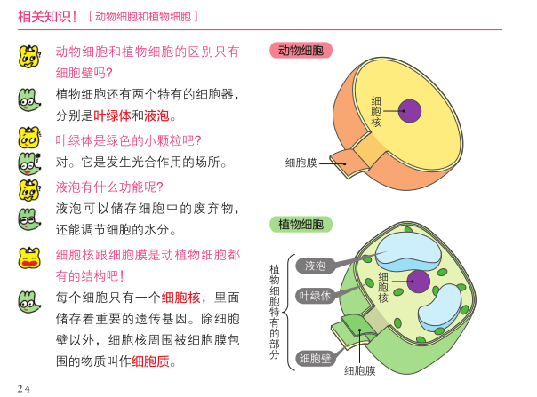 Michael钱儿频道 理科学习 想要孩子学懂会用不畏难 这个方式简单有趣对症 漫画